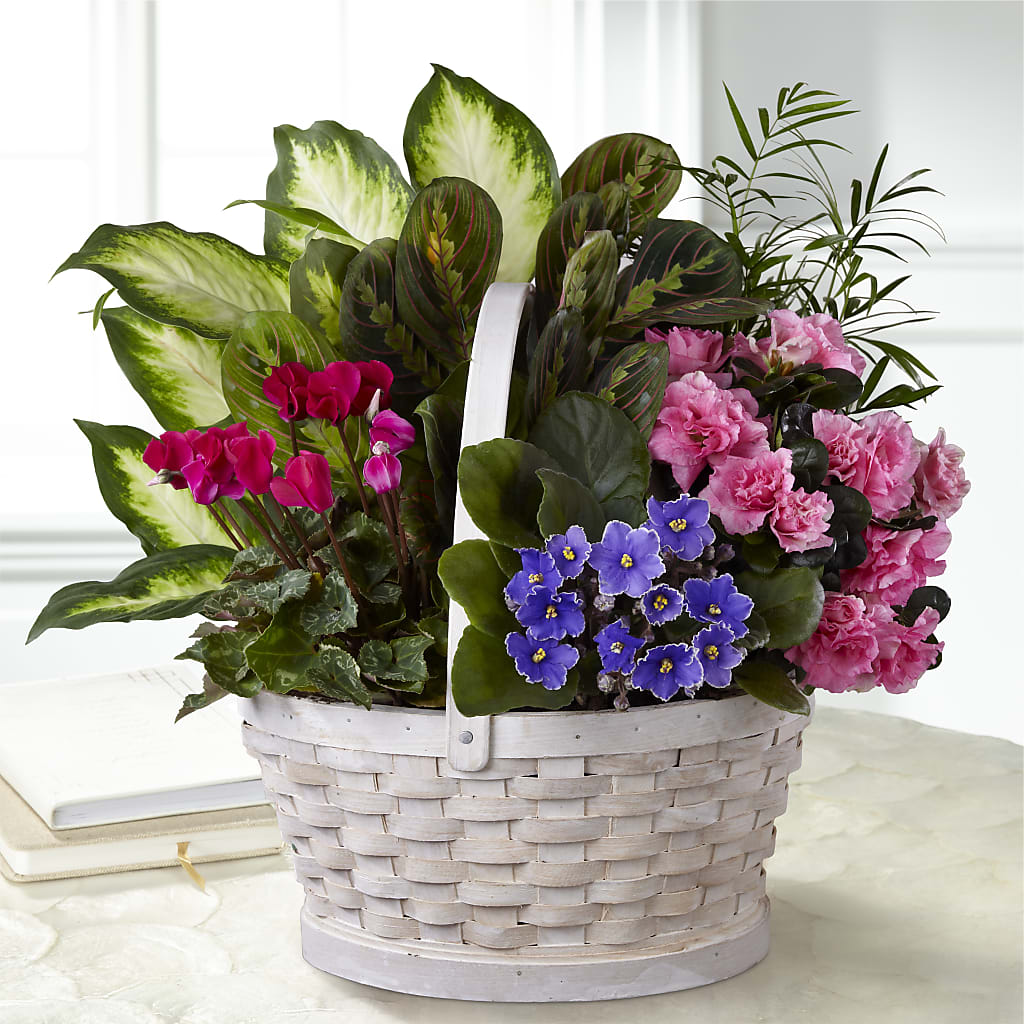 Peaceful Garden Planter – Panda Flowers Canada Inc, Calgary AB