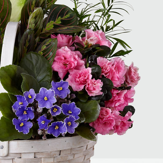 Peaceful Garden Planter – Panda Flowers Canada Inc, Calgary AB