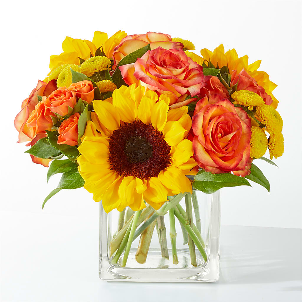 Picnic in the Park Bouquet – Panda Flowers Canada Inc, Calgary AB