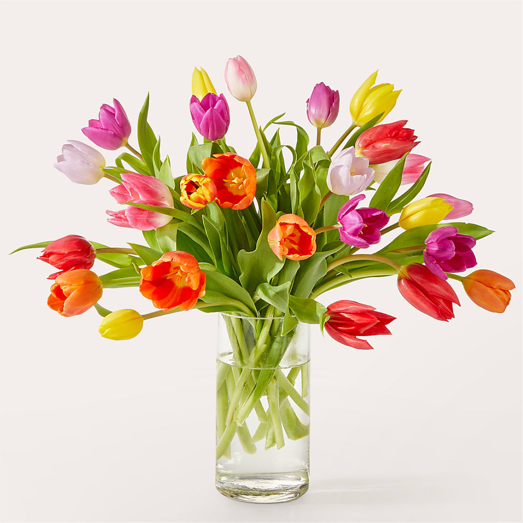 Let's Talk Tulips Bouquet – Panda Flowers Canada Inc, Calgary AB