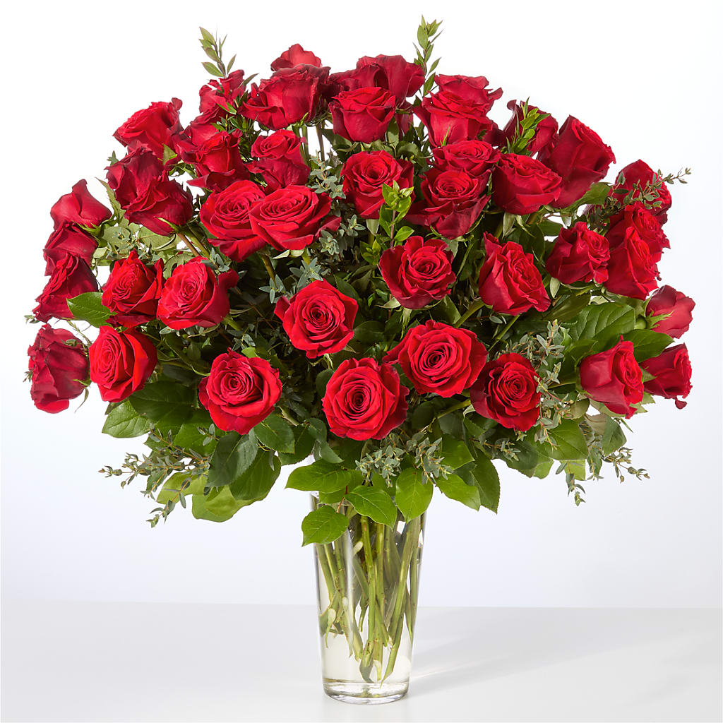 Forever Yours Fifty Stem Red Rose Bouquet – Panda Flowers Canada Inc, Calgary AB