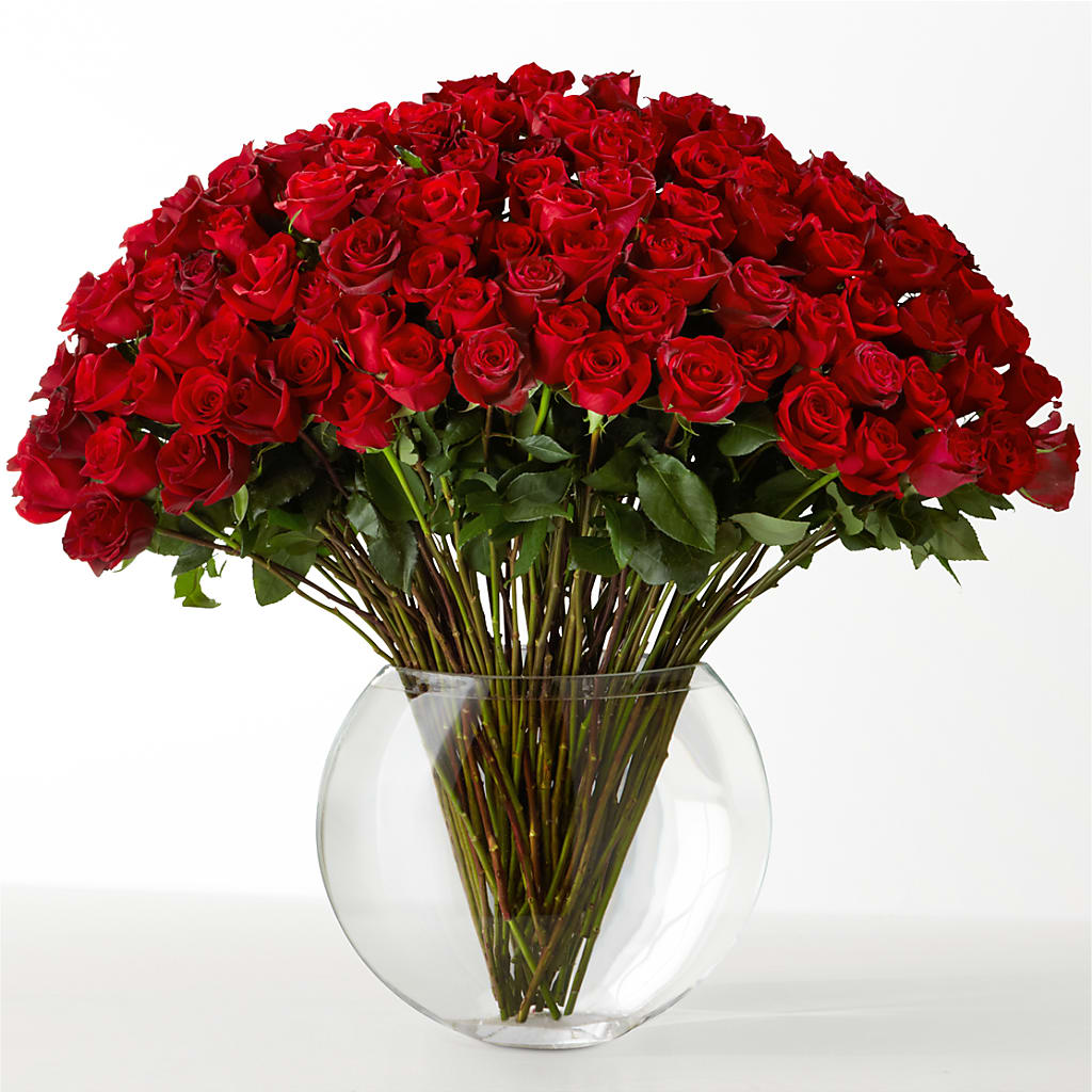 The Idealist – Panda Flowers Canada Inc, Calgary AB