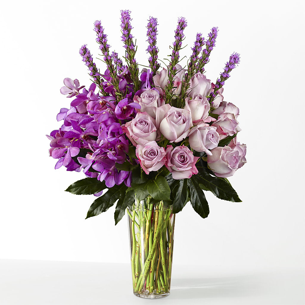 The Maximalist – Panda Flowers Canada Inc, Calgary AB