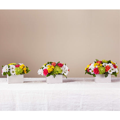 Sorbet Bouquet –  Panda Flowers Canada Inc, Calgary AB