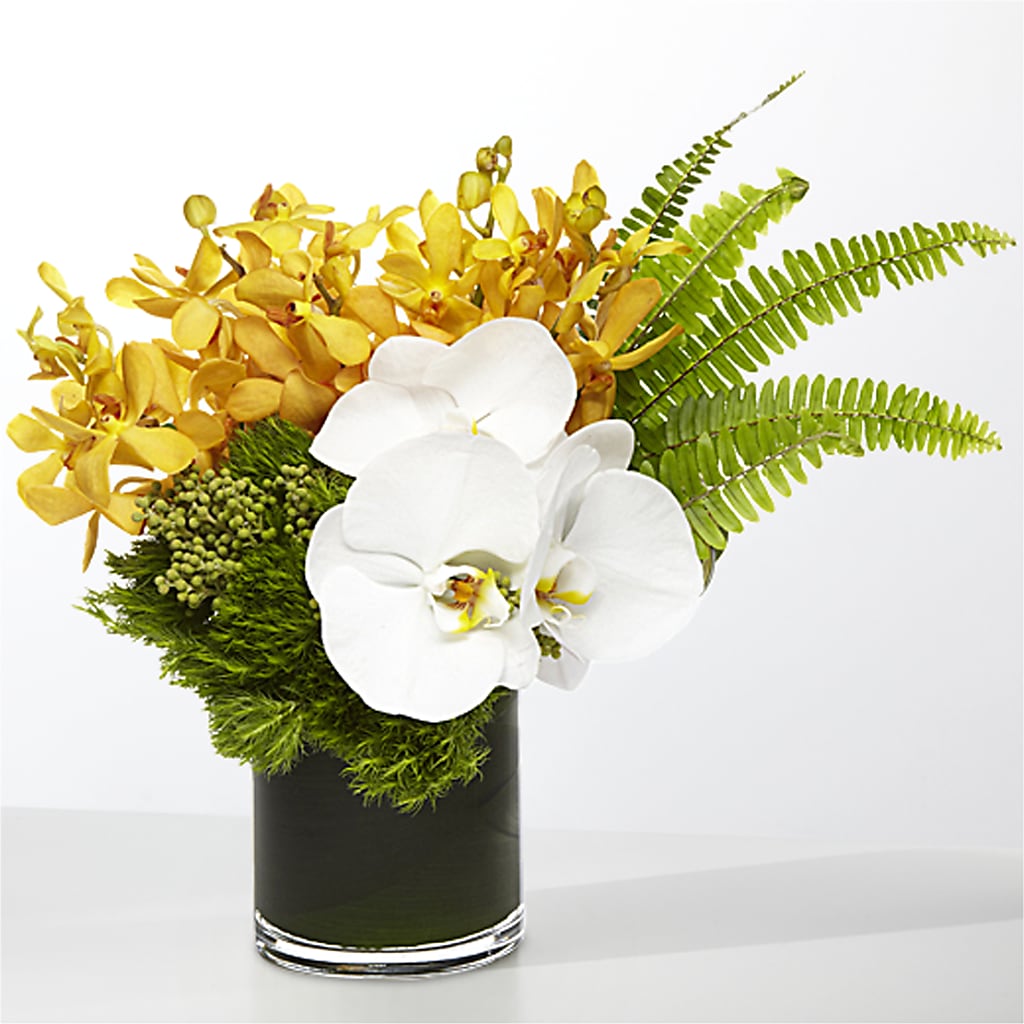 The Tropics –  Panda Flowers Canada Inc, Calgary AB
