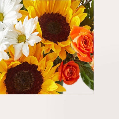 Sun-drenched Blooms Box Bouquet –  Panda Flowers Canada Inc, Calgary AB