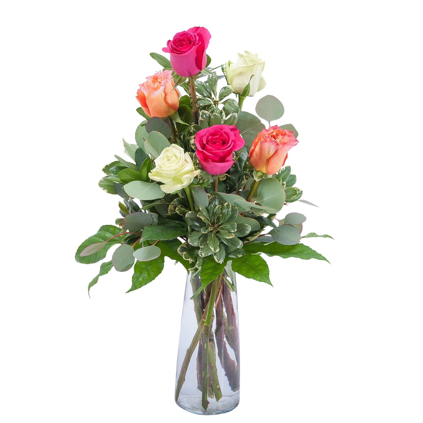 Six Assorted Roses