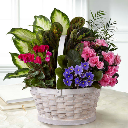 Peaceful Garden Planter –  Panda Flowers Canada Inc, Calgary AB
