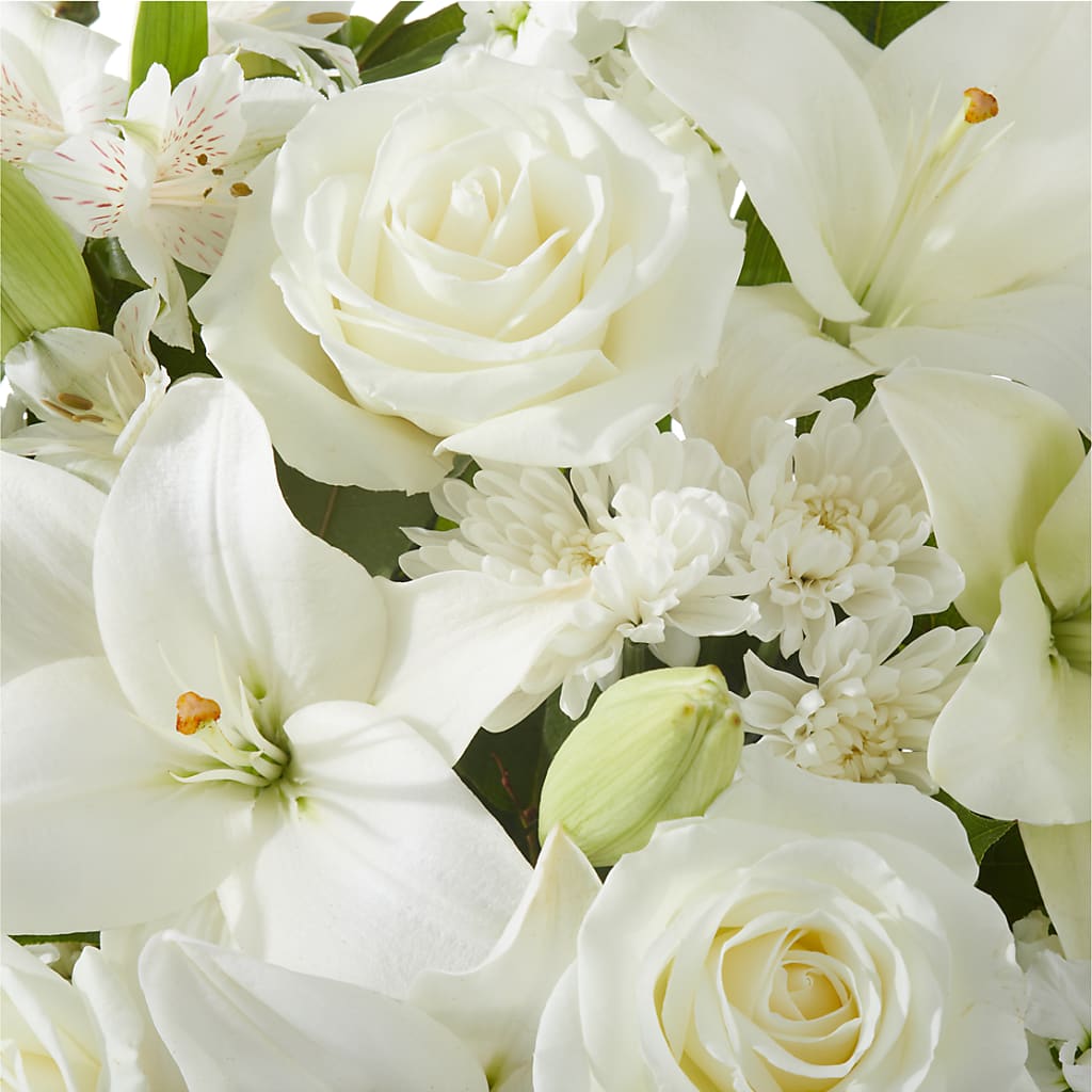 Peaceful Reflections Arrangement –  Panda Flowers Canada Inc, Calgary AB