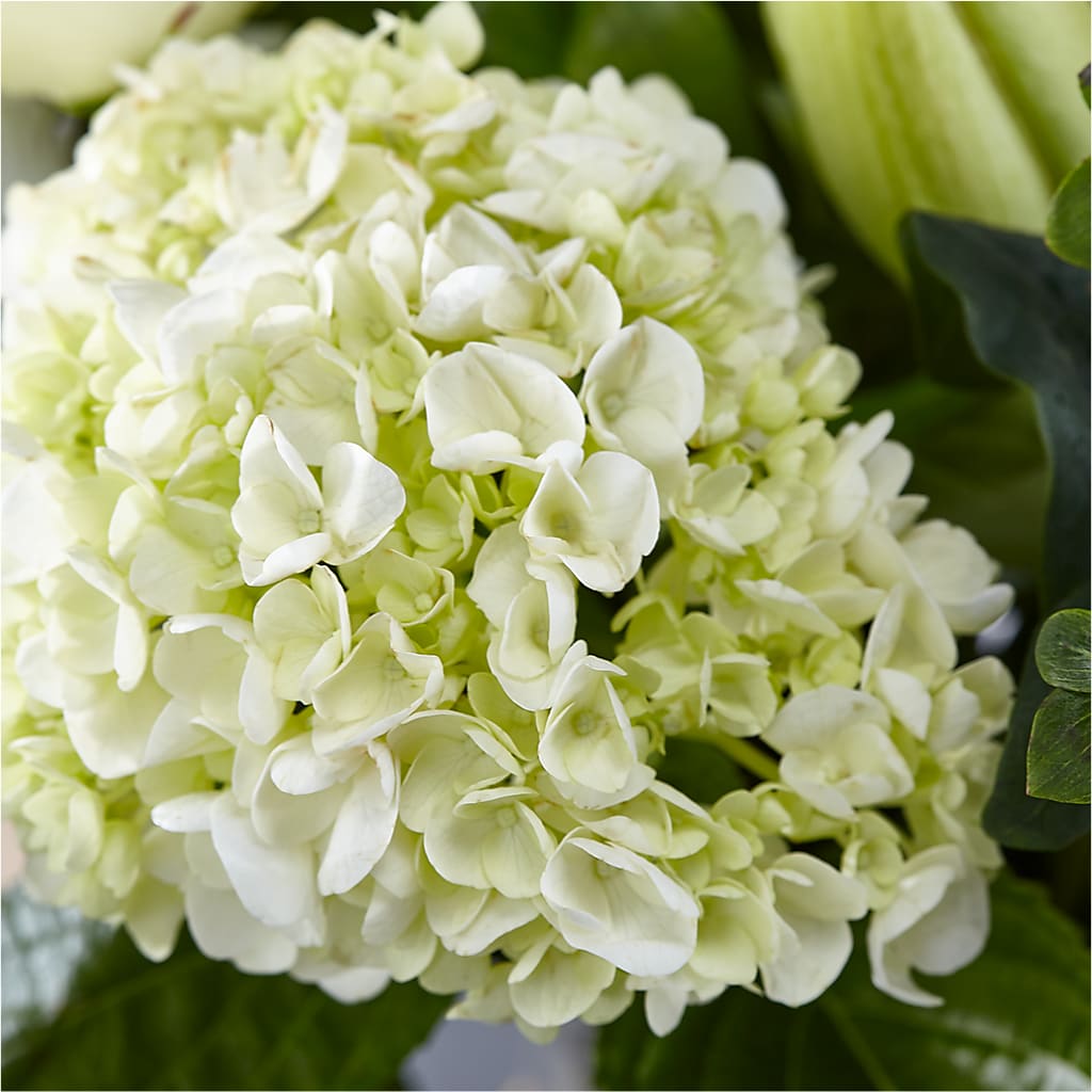 Classic Ivory – A Florist Original –  Panda Flowers Canada Inc, Calgary AB
