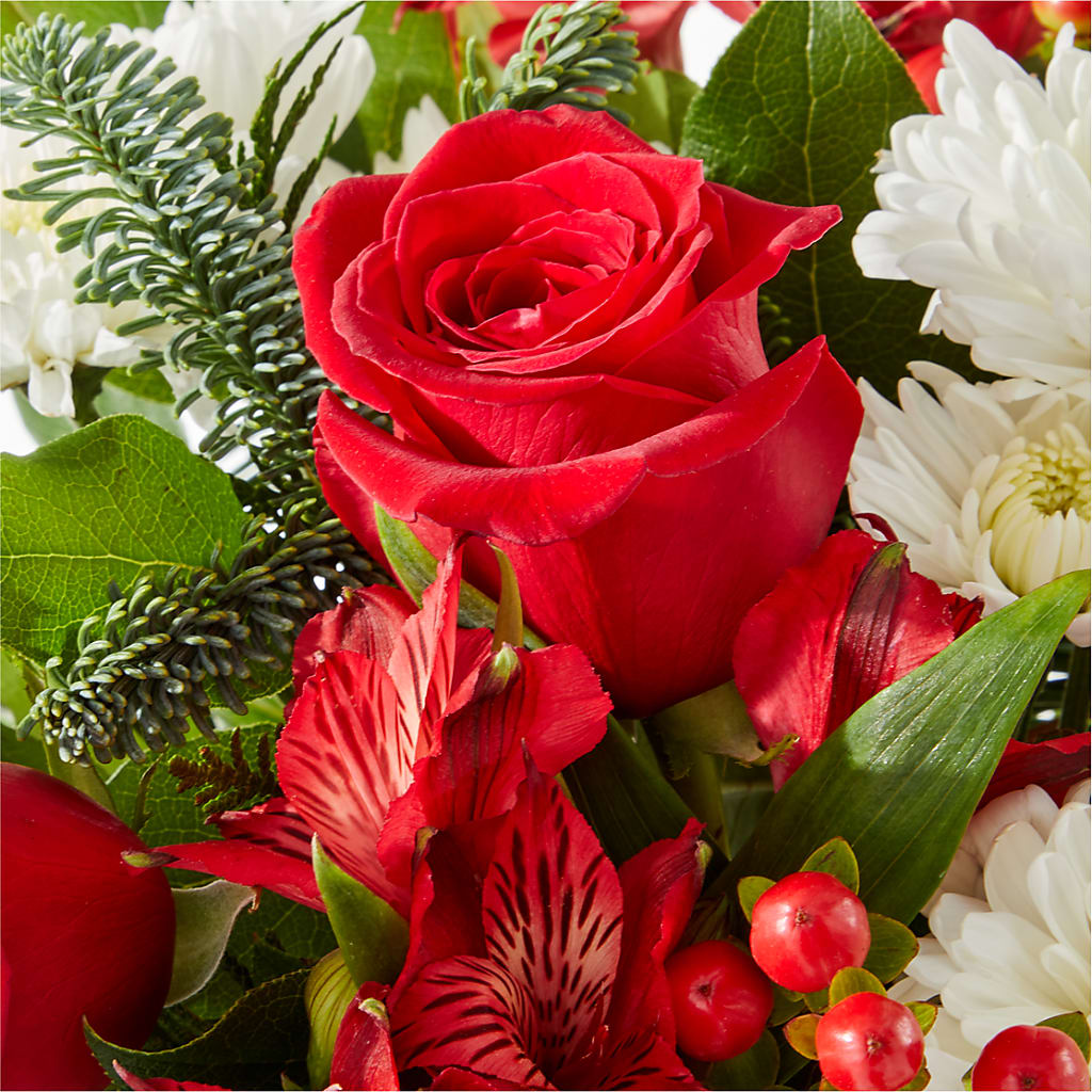 Letters to Santa Bouquet –  Panda Flowers Canada Inc, Calgary AB