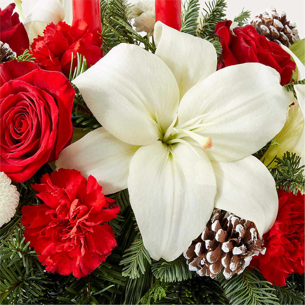 Seasonal Festivities Centerpiece –  Panda Flowers Canada Inc, Calgary AB