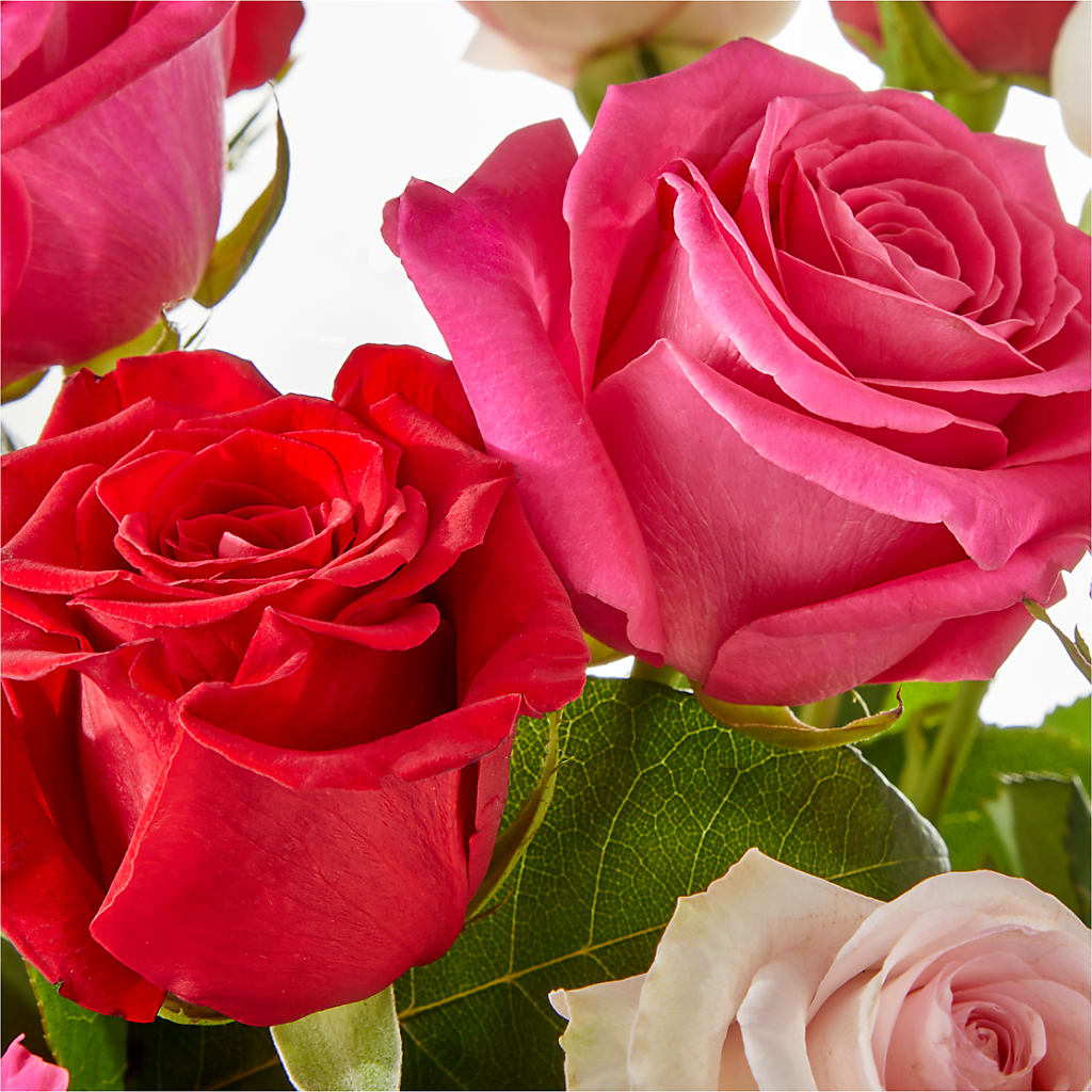 Charming Rose Bouquet –  Panda Flowers Canada Inc, Calgary AB