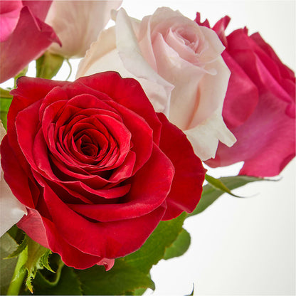 Charming Rose Bouquet –  Panda Flowers Canada Inc, Calgary AB