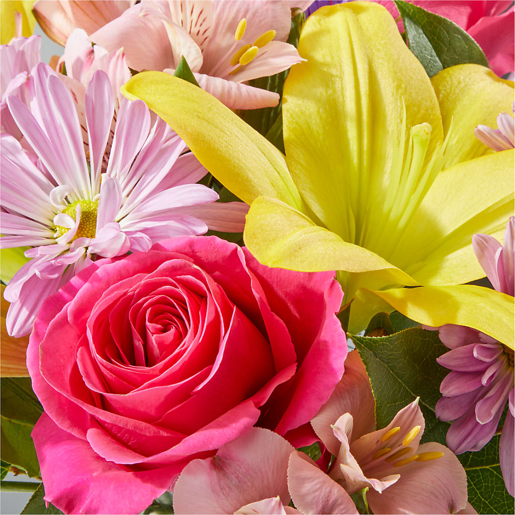 Sprinkles Bouquet –  Panda Flowers Canada Inc, Calgary AB