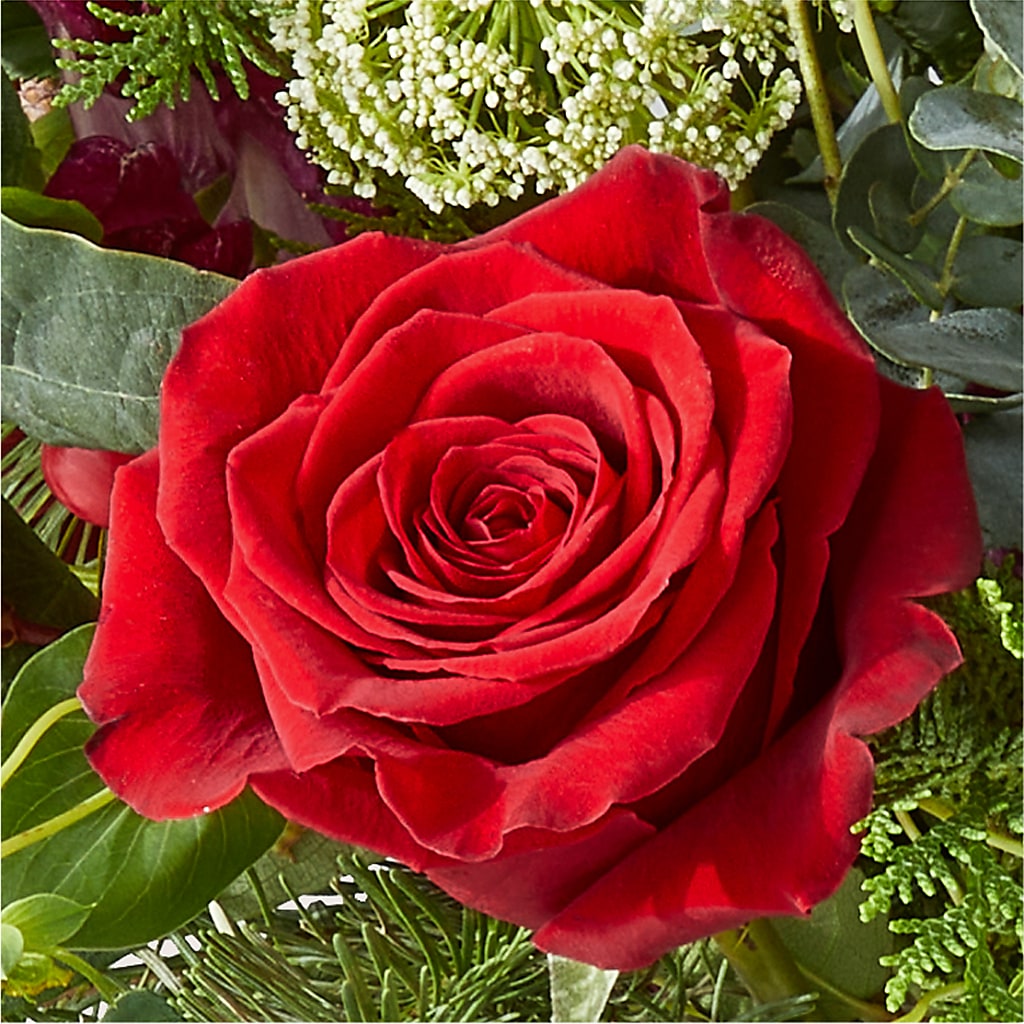 Cranberry Fizz Bouquet –  Panda Flowers Canada Inc, Calgary AB