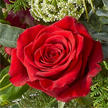 Cranberry Fizz Bouquet –  Panda Flowers Canada Inc, Calgary AB