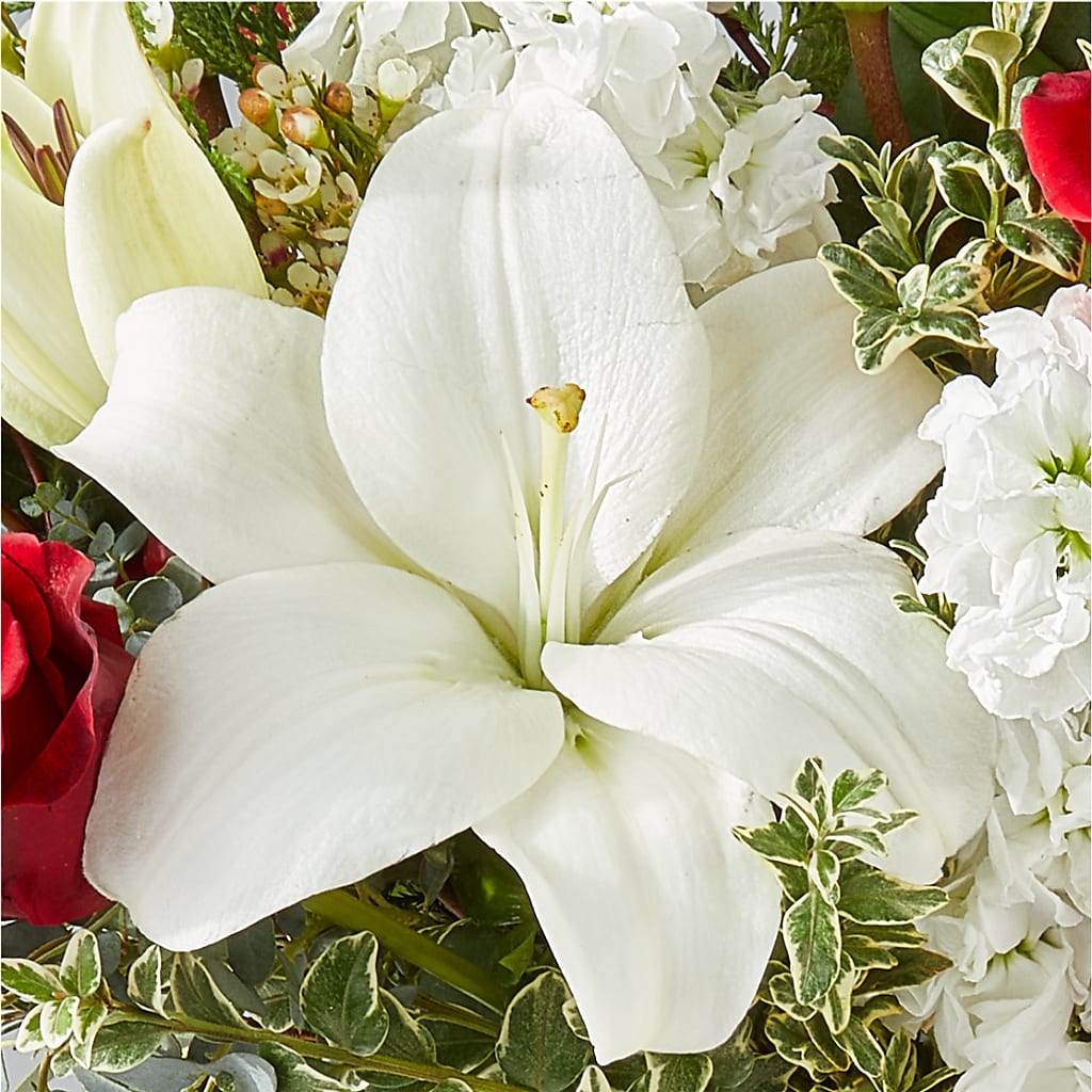 Twinkle Lights Bouquet –  Panda Flowers Canada Inc, Calgary AB