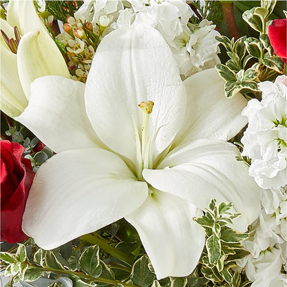 Twinkle Lights Bouquet –  Panda Flowers Canada Inc, Calgary AB