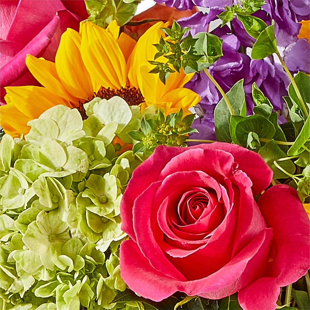 Vibrant Greetings Bouquet –  Panda Flowers Canada Inc, Calgary AB