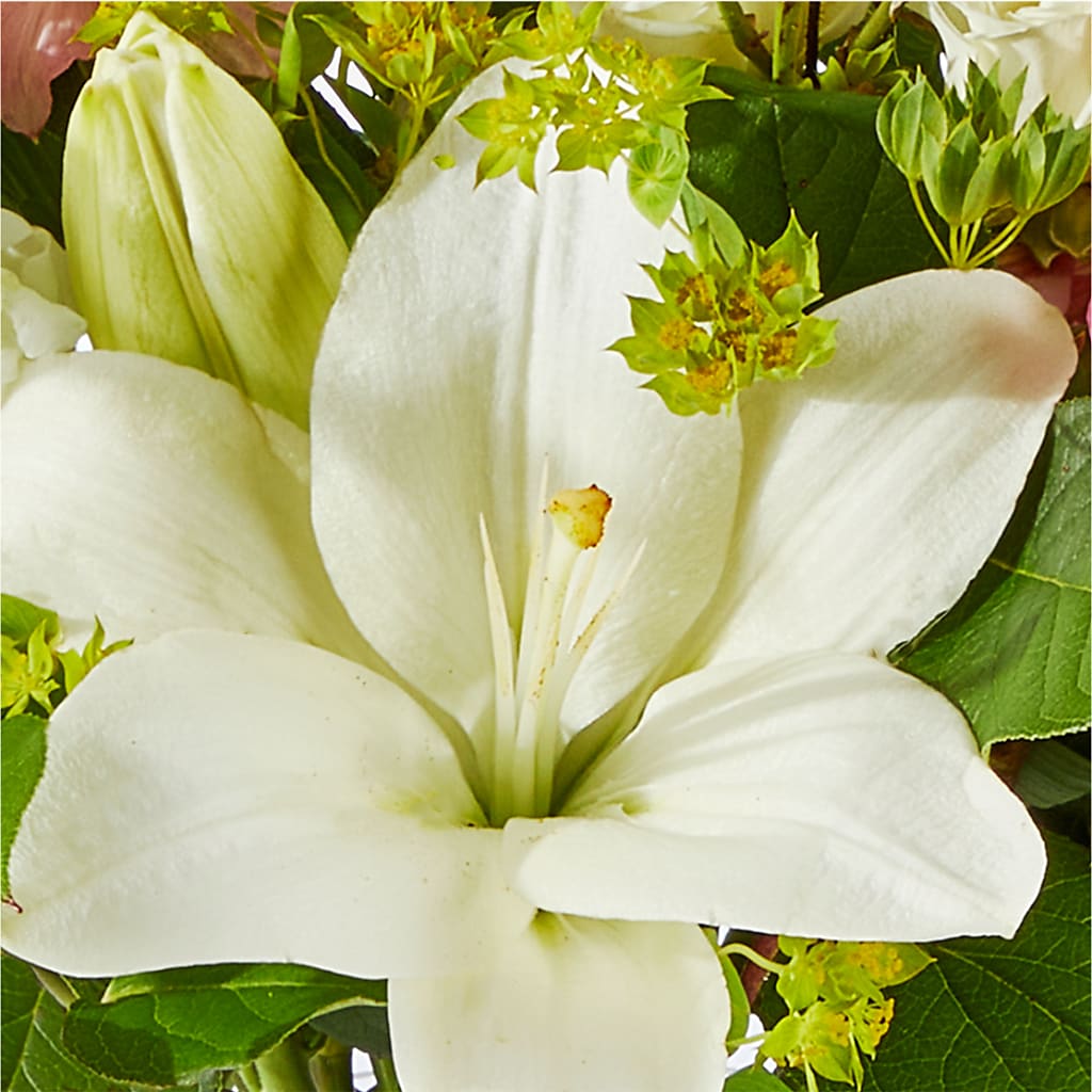 Fondly Bouquet –  Panda Flowers Canada Inc, Calgary AB