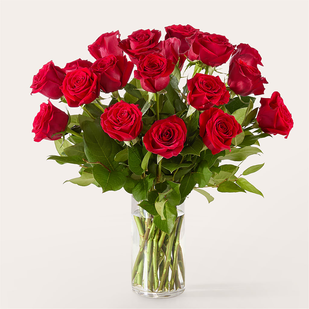 The One Red Rose Bouquet –  Panda Flowers Canada Inc, Calgary AB
