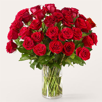 The One Red Rose Bouquet –  Panda Flowers Canada Inc, Calgary AB
