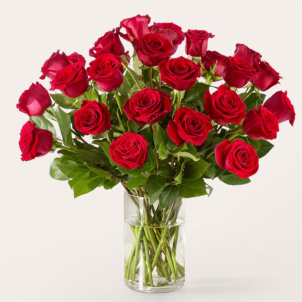 The One Red Rose Bouquet –  Panda Flowers Canada Inc, Calgary AB