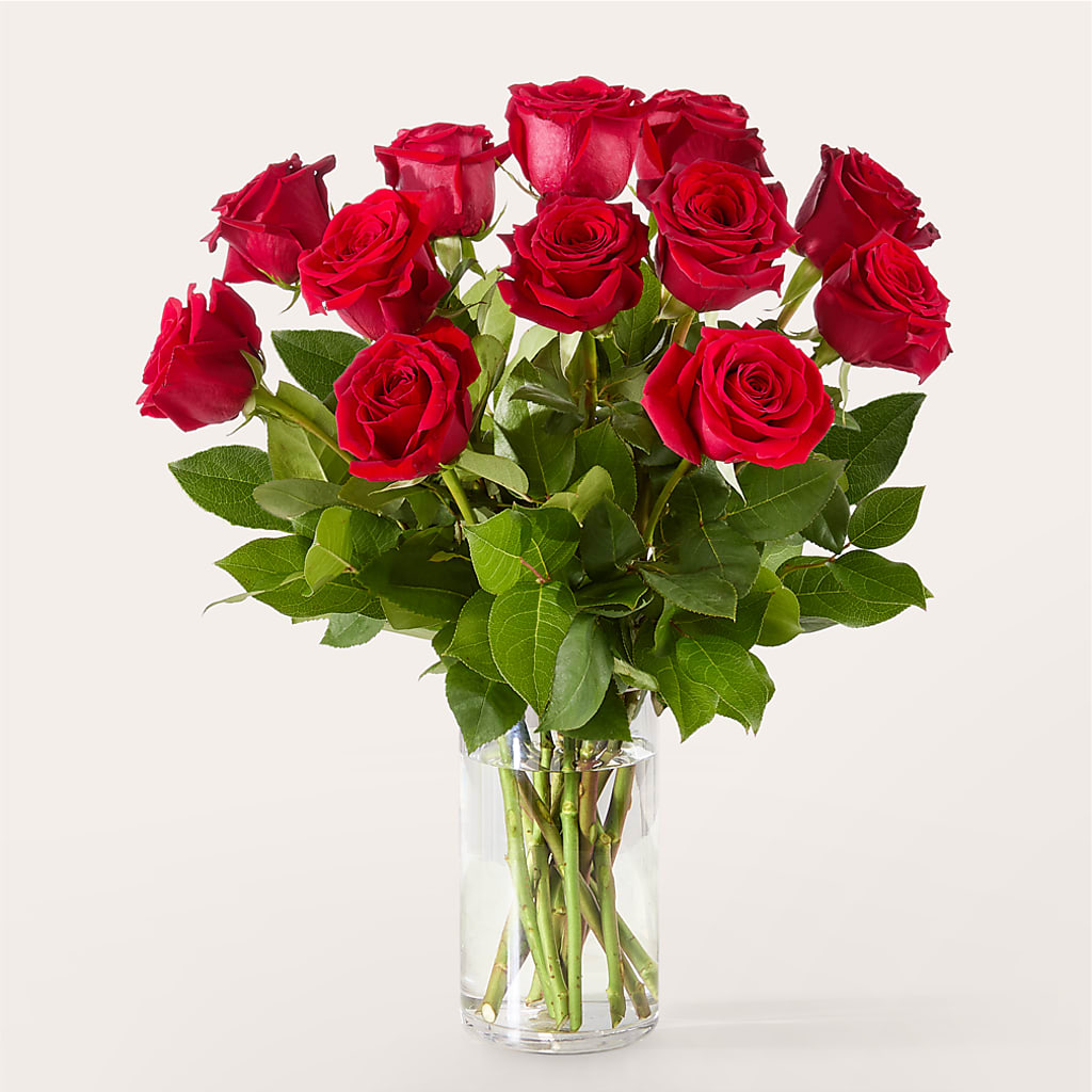 The One Red Rose Bouquet –  Panda Flowers Canada Inc, Calgary AB