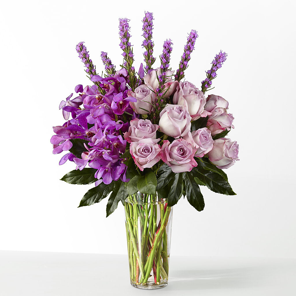 The Maximalist –  Panda Flowers Canada Inc, Calgary AB